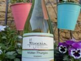 2025er Müller-Thurgau Kabinett trocken