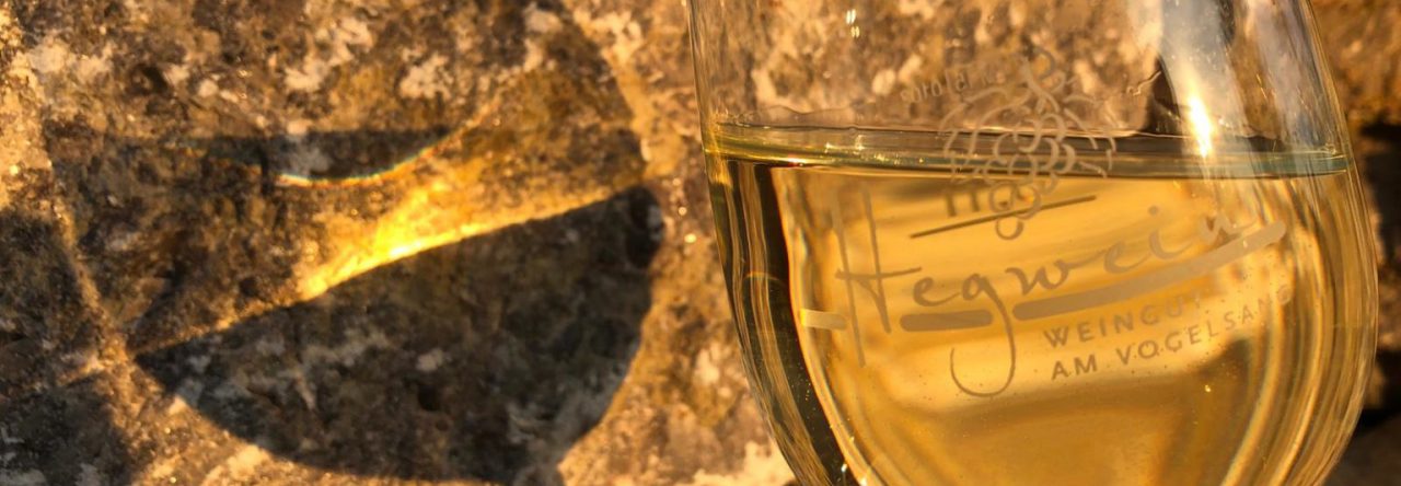 Neue Weine am Start… und ab in die Flasche! Neue Weine am Start… und ab in die Flasche!