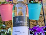 2024er Markt Einersheimer Vogelsang Silvaner – Alte Reben, trocken