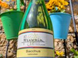 2025er Bacchus Qualitätswein halbtrocken