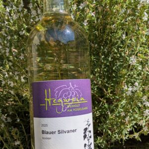 2025er Markt Einersheimer Vogelsang Blauer Silvaner, trocken