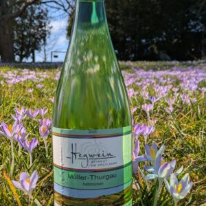 2025er Müller-Thurgau Qualitätswein halbtrocken
