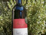 2023er Markt Einersheimer Vogelsang Regent, Qualitätswein, trocken