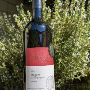 2023er Markt Einersheimer Vogelsang Regent, Qualitätswein, trocken